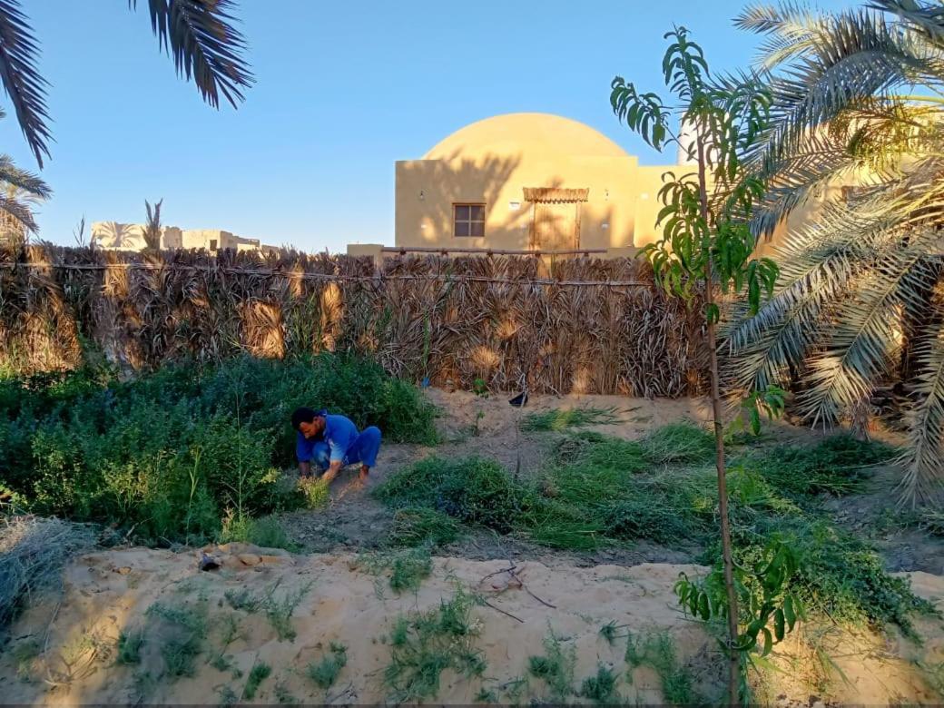 Villa Wafla Siwa Oasis Esterno foto