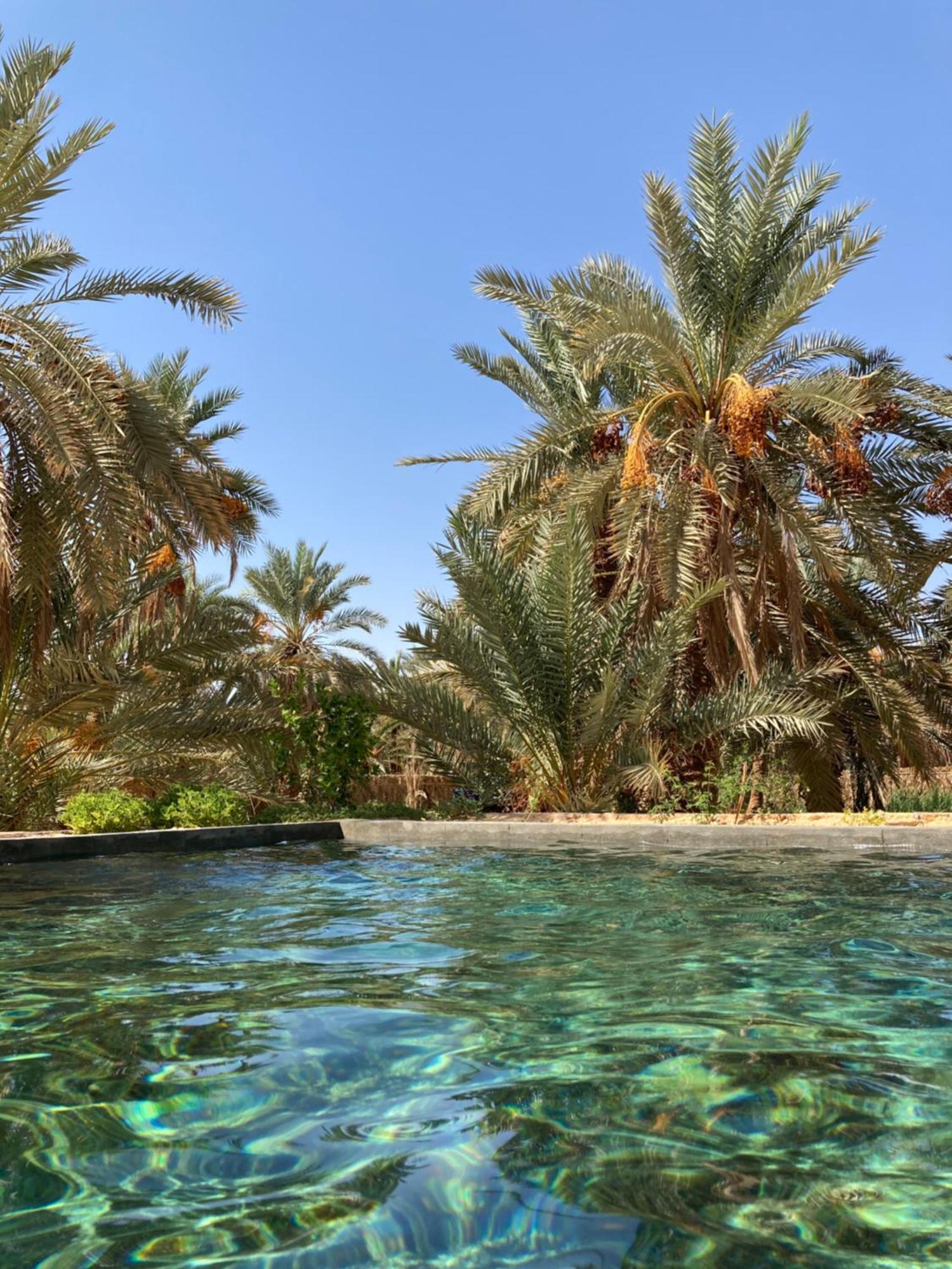 Villa Wafla Siwa Oasis Esterno foto