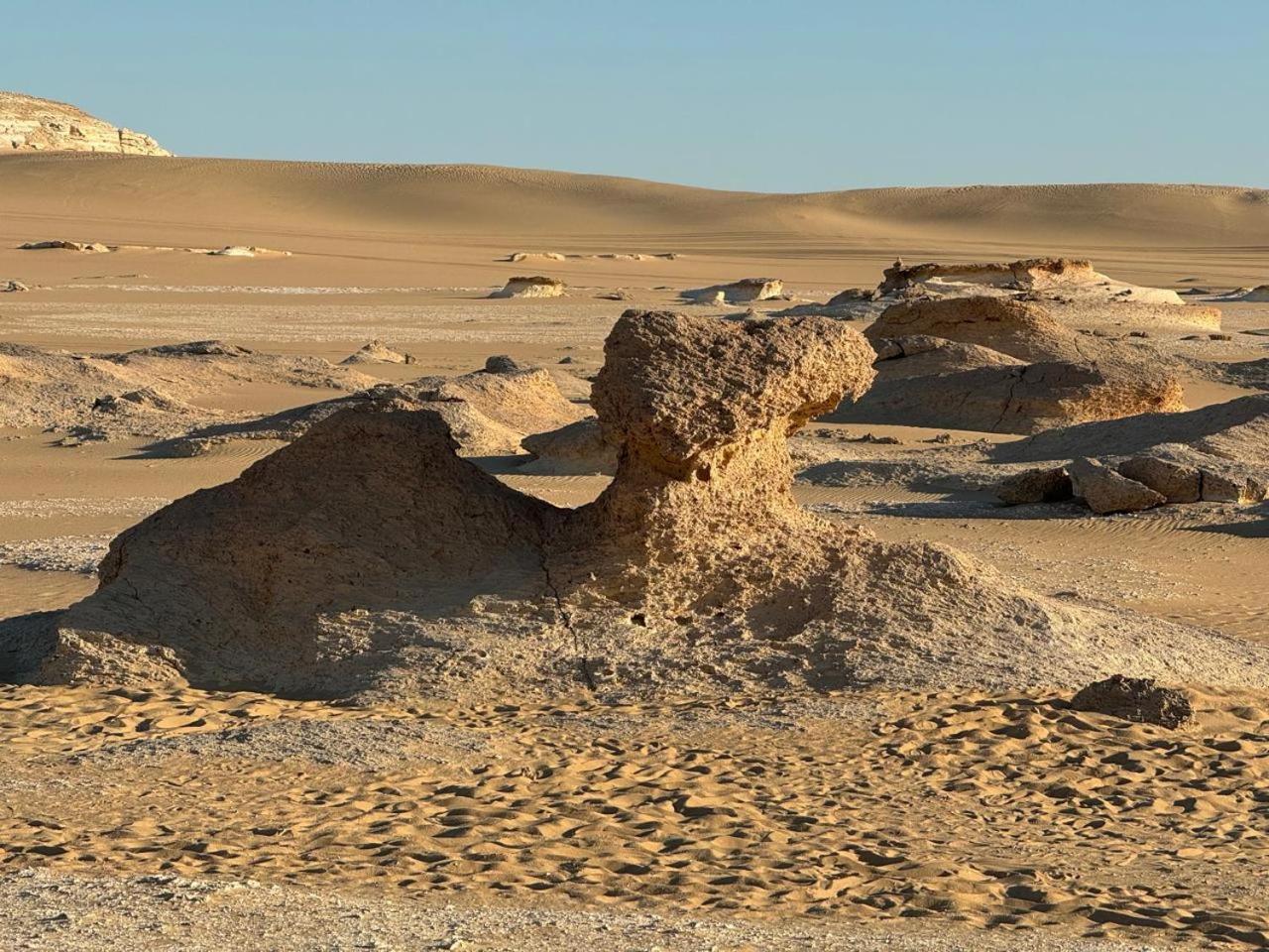 Villa Wafla Siwa Oasis Esterno foto